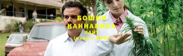 дмт Богданович