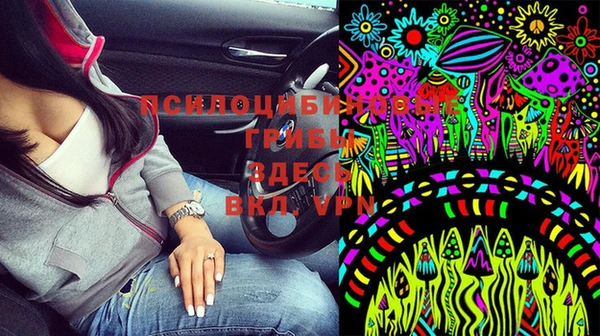 стаф Богородицк