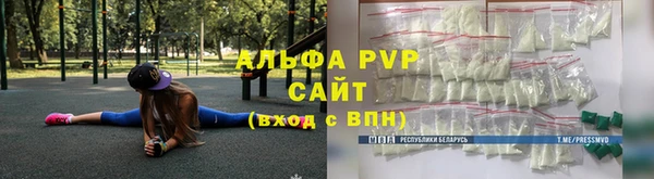 прущие грибы Богородск