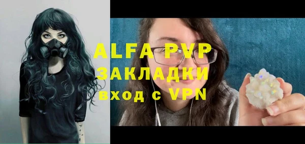 стаф Богородицк