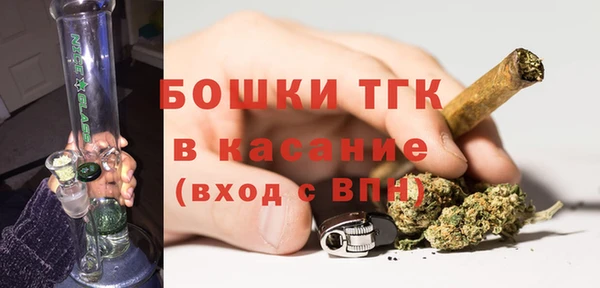 стаф Богородицк