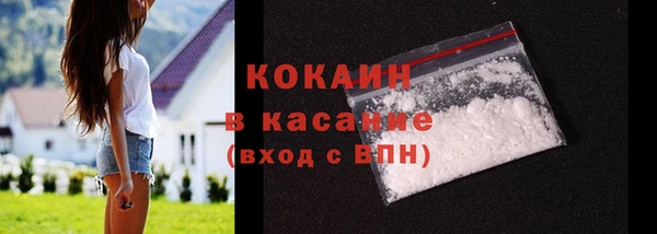 дмт Богданович