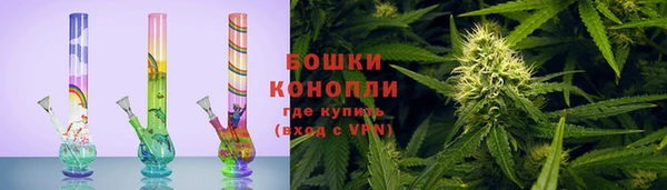 стаф Богородицк