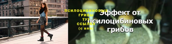 стаф Богородицк