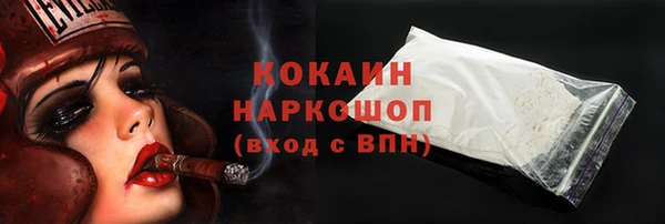 стаф Богородицк