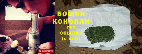 дмт Богданович
