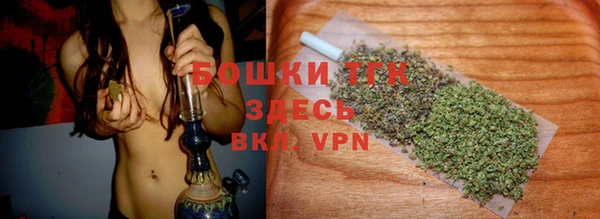 стаф Богородицк