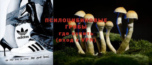 стаф Богородицк