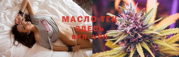 дмт Богданович