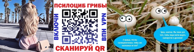 МЕГА сайт  Томск  Псилоцибиновые грибы Psilocybe 